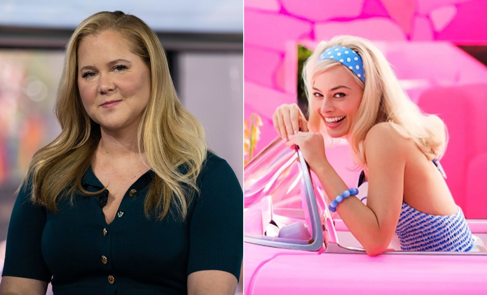 Amy Schumer Revealed Why She Dropped Out Of The Barbie Movie Web Qia 